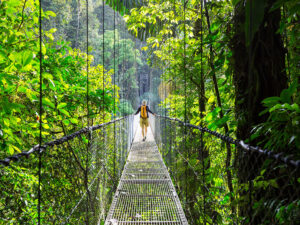 Puentes Colgantes