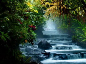 Aguas Termales